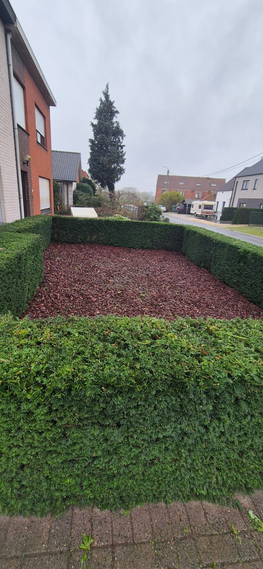 TUINONDERHOUD EN TOTAALPROJECTEN